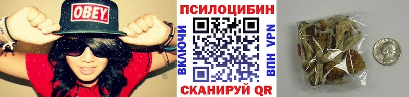 Галлюциногенные грибы Psilocybine cubensis  Ленск 